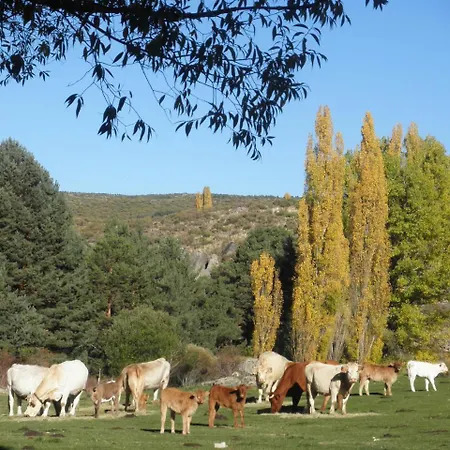 Gospodarstwo wiejskie La Casona De Collado