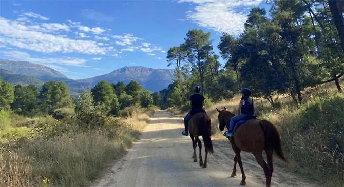 La Casona De Collado Hoyos del Collado