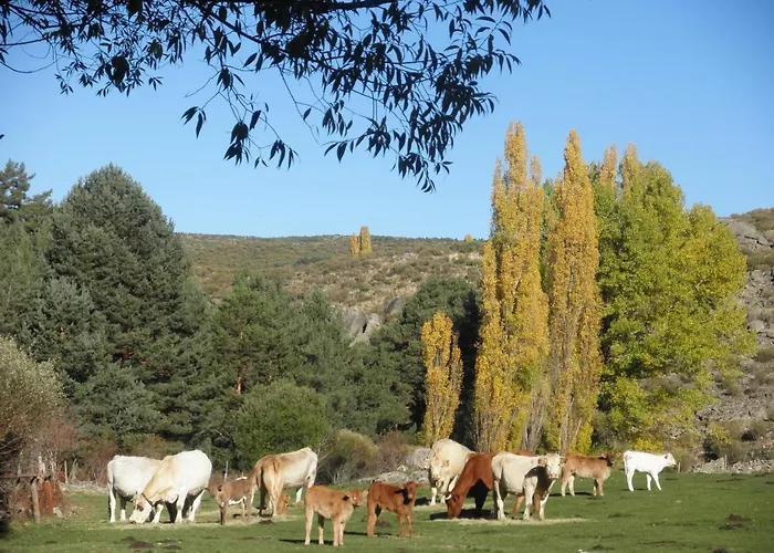 Εξοχικό σπίτι La Casona De Collado